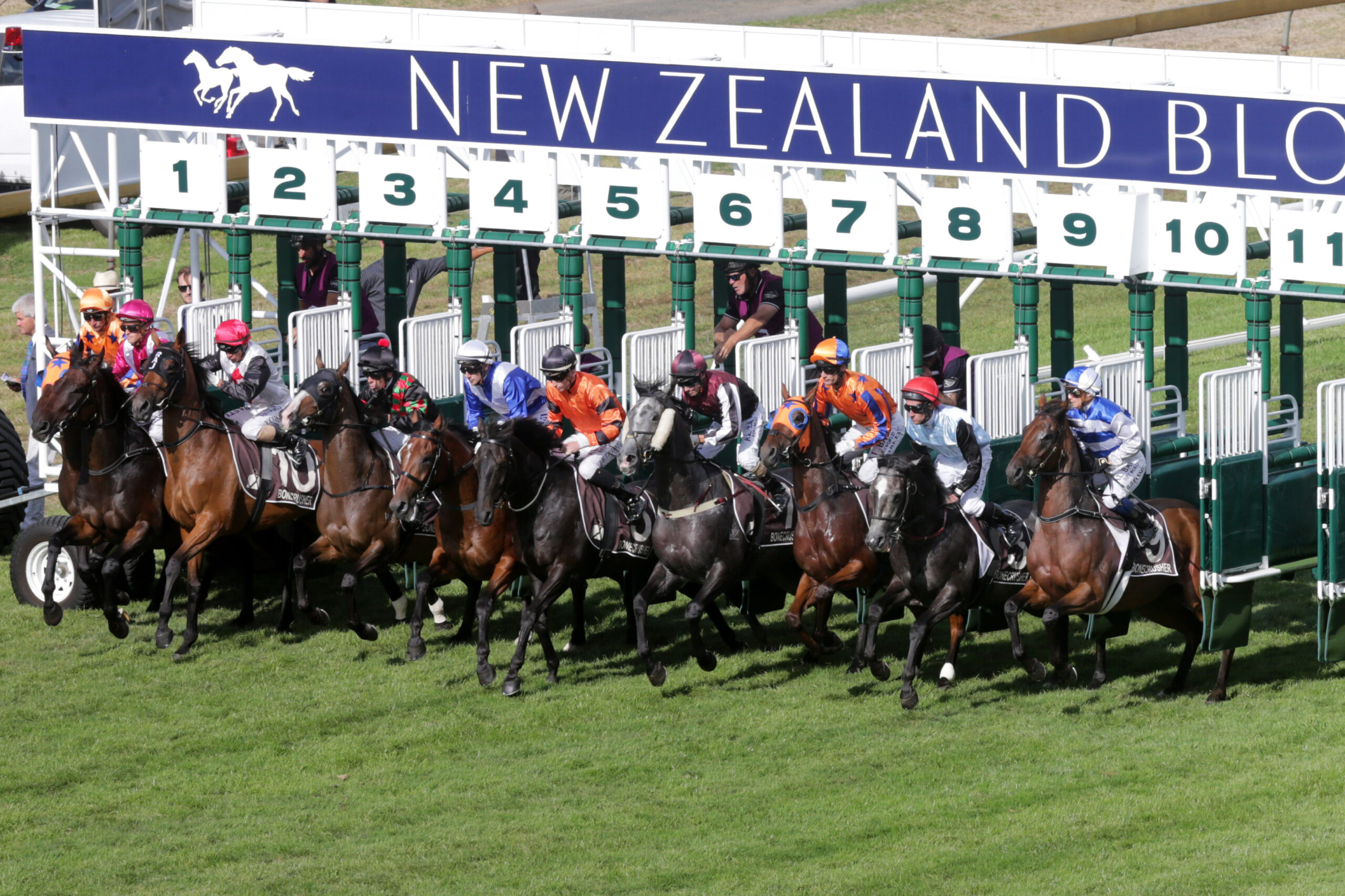 Cutbacks Across All Areas At TAB | NZ Racing News