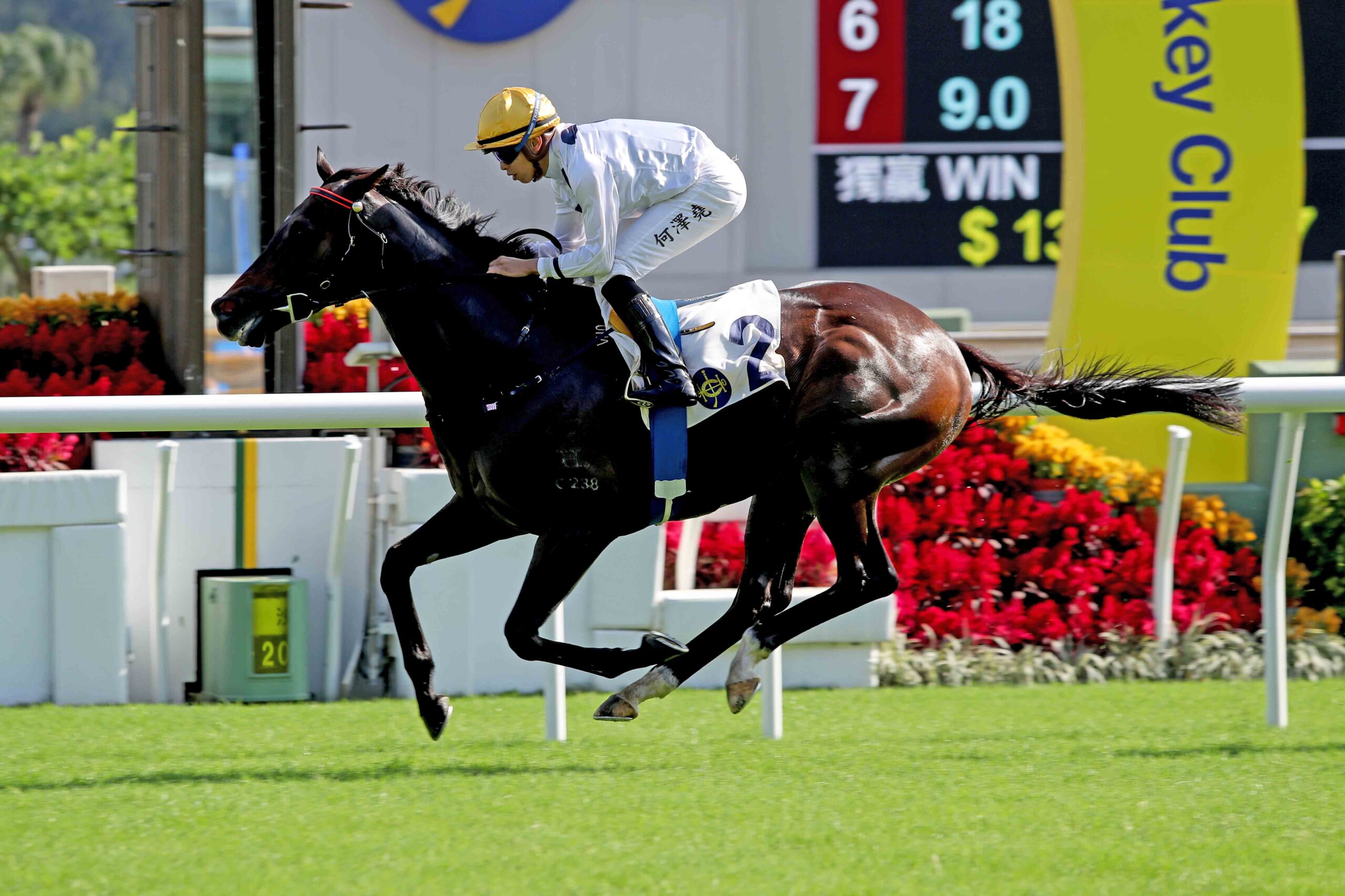 Golden Sixty continues march to LONGINES Hong Kong Mile NZ