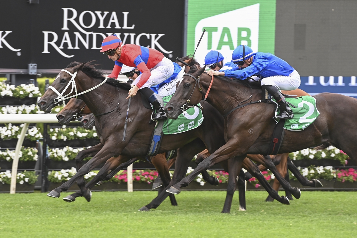 French Trip Still On The Cards For Kiwi Mare | NZ Racing News